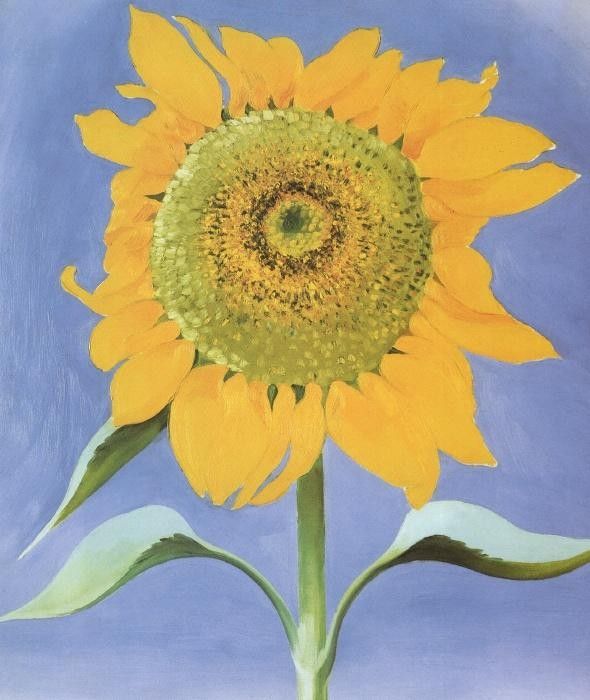 Georgia O'Keeffe Sunflower, New Mexico 1935